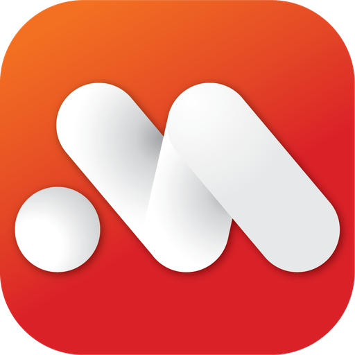 icon msb